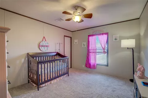 3227 County Road 1074, Celeste, TX 75423 photo 25