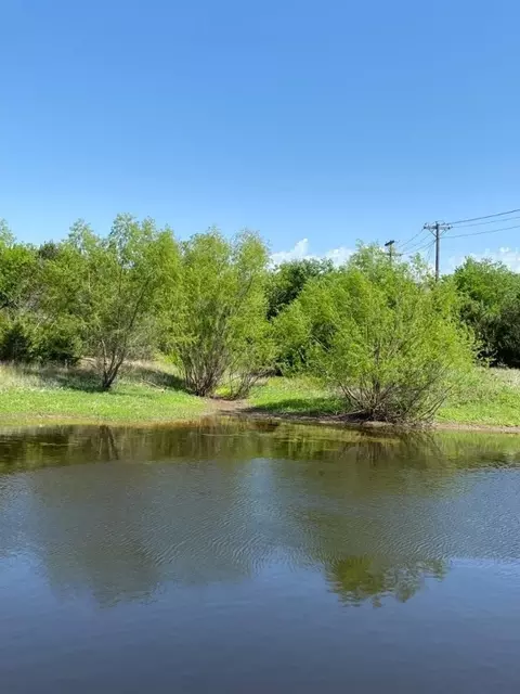 43199 Fringewood Dr, Whitney, TX 76692