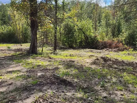 Tbd Fm 1254, Quitman, TX 75783