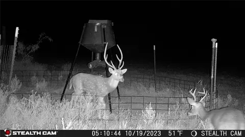 10500 Cr 131, Brownwood, TX 76801