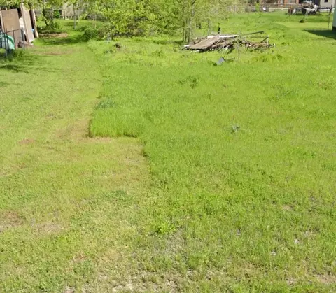 W Hackley, Perrin, TX 76486 photo 3