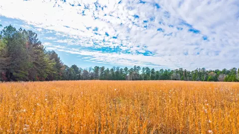 N/a Fm 1794, De Berry, TX 75639