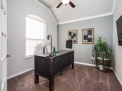 16717 Millenium Park Pl, Prosper, TX 75078 photo 4