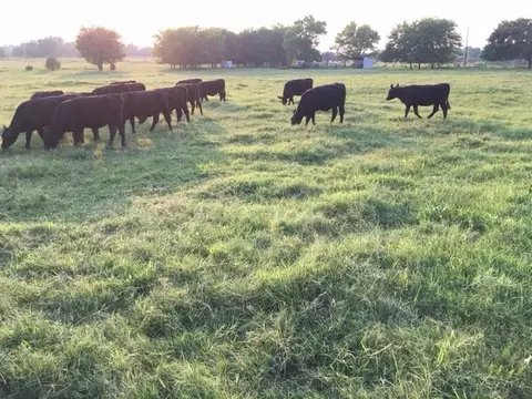 Tbd County Road 2322 Road, Sulphur Springs, TX 75482