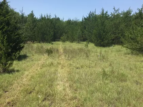 Tbd County Road 26320, Roxton, TX 75477
