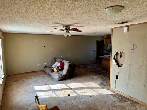 133 E Lowe Ave, De Leon, TX 76444 photo 10