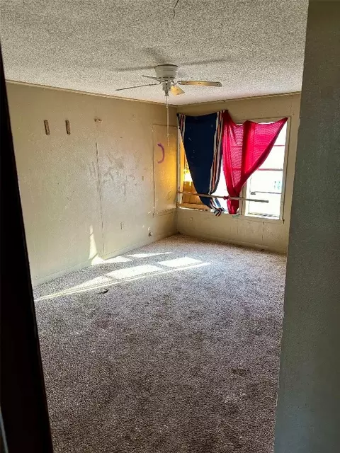 133 E Lowe Ave, De Leon, TX 76444 photo 18
