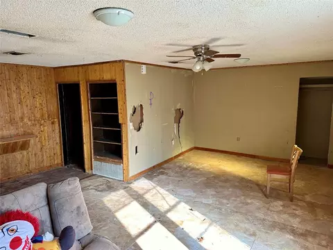133 E Lowe Ave, De Leon, TX 76444 photo 11