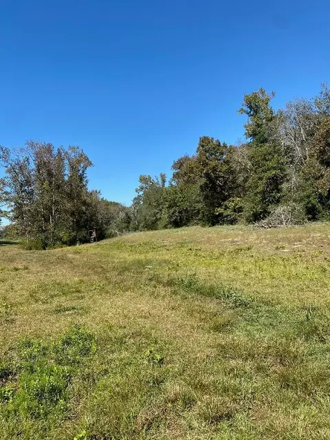 Tbd 008 County Rd 242, Oakwood, TX 75855