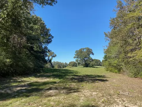 Tbd 010 County Rd 242, Oakwood, TX 75855