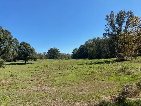 Tbd 011 County Rd 242, Oakwood, TX 75855