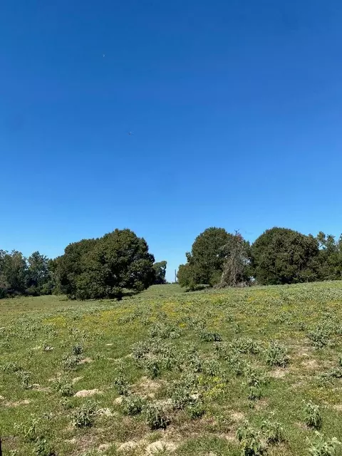Tbd 009 County Rd 242, Oakwood, TX 75855