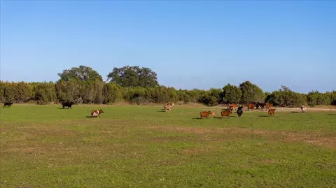 10 Ac West End Tbd Cr 179, Stephenville, TX 76401