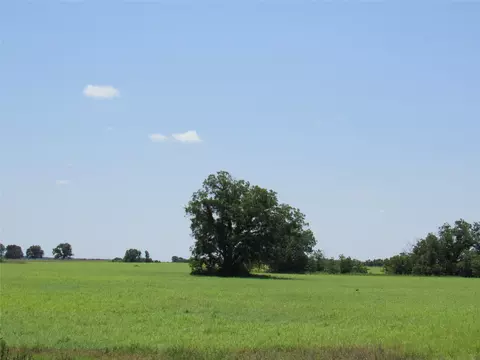 tbd Co Rd 295, Carbon, TX 76435