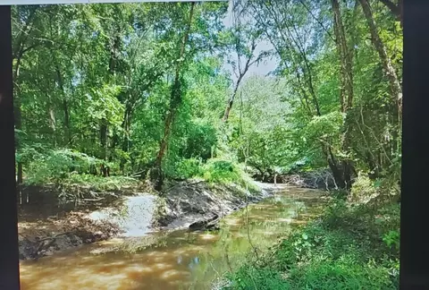 000 Lyles Rd, Gilmer, TX 75644