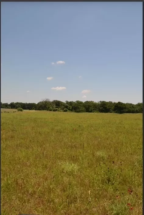 Tbd County Road 1248, Whitney, TX 76692