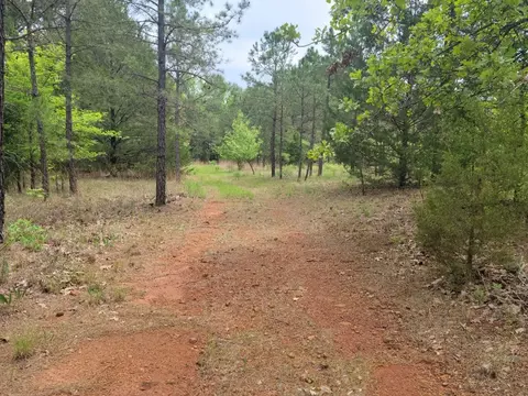 Tbd Fm 250 N, Hughes Springs, TX 75656