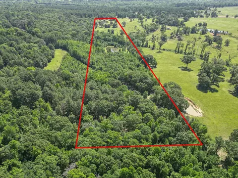 Tbd County Road 2980, Alba, TX 75410 photo 6