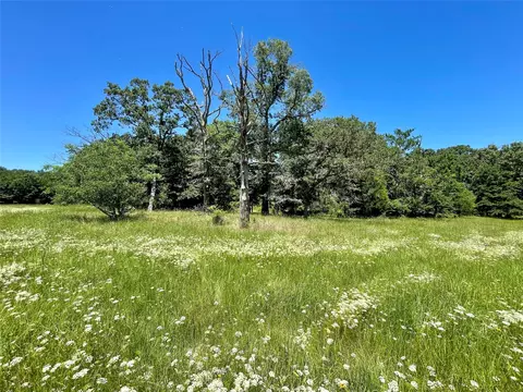 490 Vz County Road 4928 #TRACT 5, Ben Wheeler, TX 75754