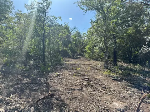 980 Majestic Shores, Bluff Dale, TX 76433