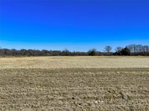 Tbd Fm 87, Ector, TX 75439 photo 13