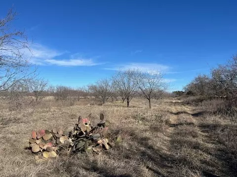 886 County Road 191, Comanche, TX 76442 photo 19