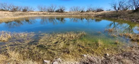 14010 N Us Hwy 83, Paint Rock, TX 76866
