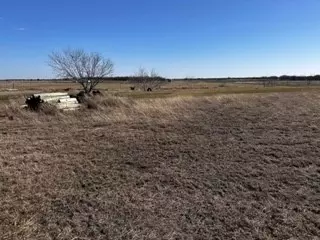 Tbd Lot #44 NW Couty Road 1290 Road, Corsicana, TX 75110