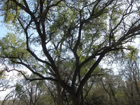 lot42 Ph 4 Pr 42129, Evant, TX 76525