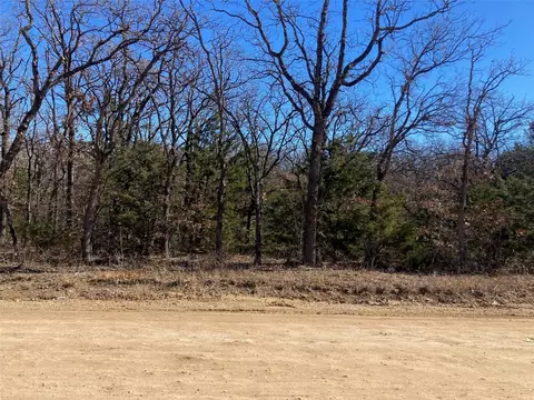 231 Tbd Boone Trl, Valley View, TX 76272