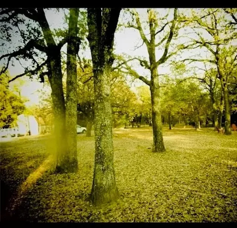 1312 Arrowhead Dr, West Tawakoni, TX 75474
