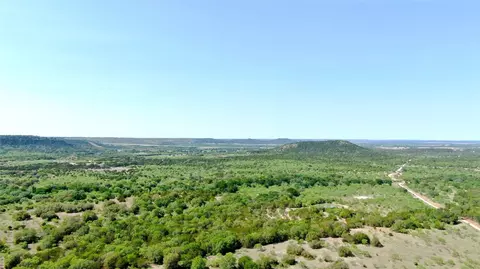 tbd big bear loop, Ranger, TX 76470 photo 4