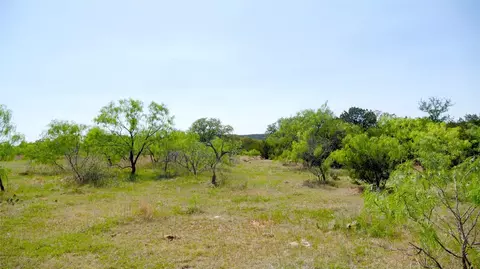 tbd big bear loop, Ranger, TX 76470 photo 14