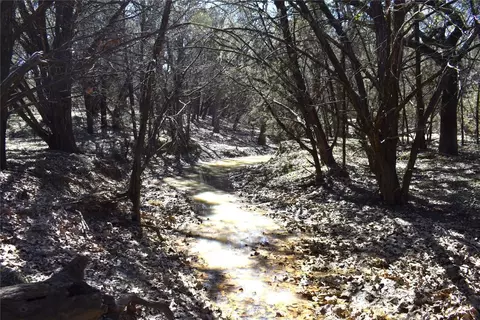 tbd big bear loop, Ranger, TX 76470 photo 10