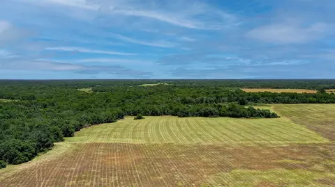 8575 E Farm Road 485, Cameron, TX 76520 photo 24