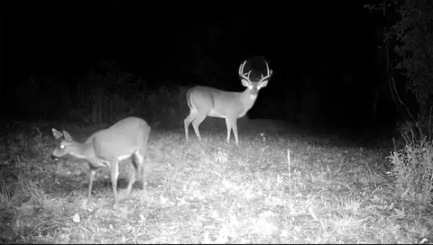 8575 E Farm Road 485, Cameron, TX 76520 photo 29