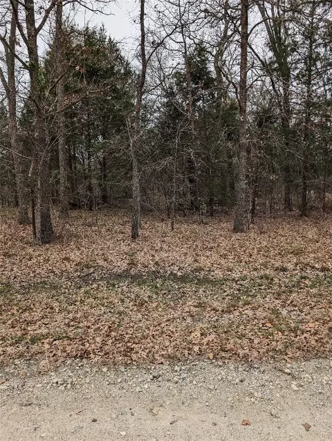 0 Driftwood Dr, Trinidad, TX 75163