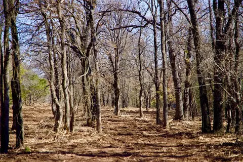 Tract 7 County Rd 4461, Decatur, TX 76234
