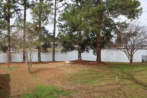2204 Austins Cir, Tool, TX 75143 photo 4