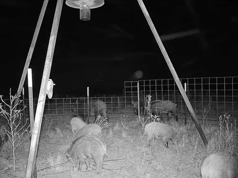 154 County Rd, Rule, TX 79548 photo 5