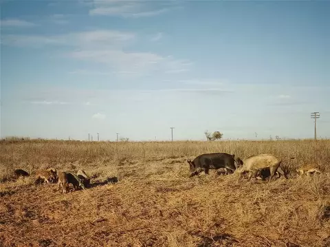 154 County Rd, Rule, TX 79548 photo 30