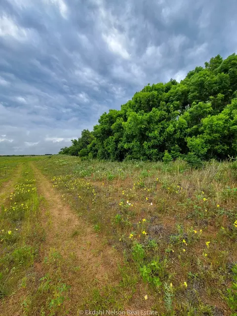 154 County Rd, Rule, TX 79548 photo 31