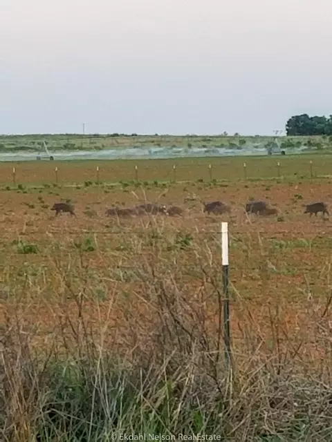 154 County Rd, Rule, TX 79548 photo 17