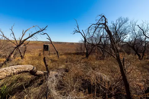 154 County Rd, Rule, TX 79548 photo 20