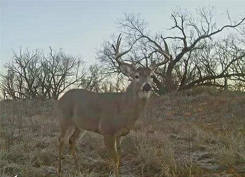 154 County Rd, Rule, TX 79548 photo 4