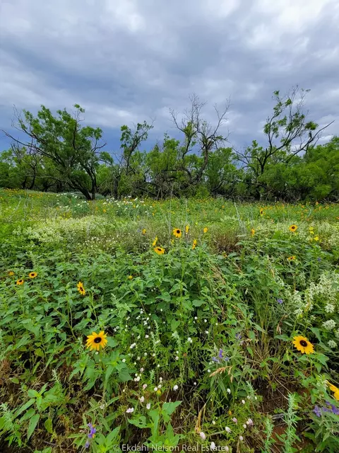 154 County Rd, Rule, TX 79548 photo 9