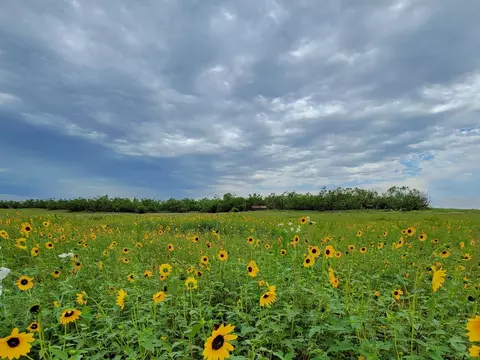 154 County Rd, Rule, TX 79548 photo 34