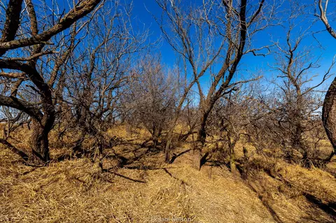 154 County Rd, Rule, TX 79548 photo 21