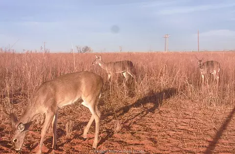 154 County Rd, Rule, TX 79548 photo 13