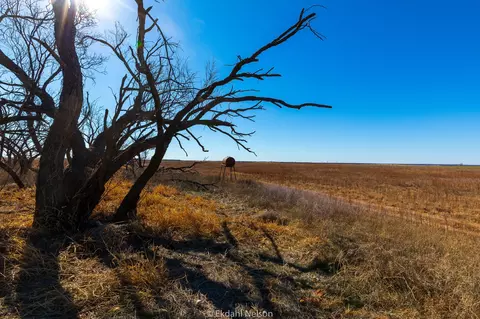 154 County Rd, Rule, TX 79548 photo 6